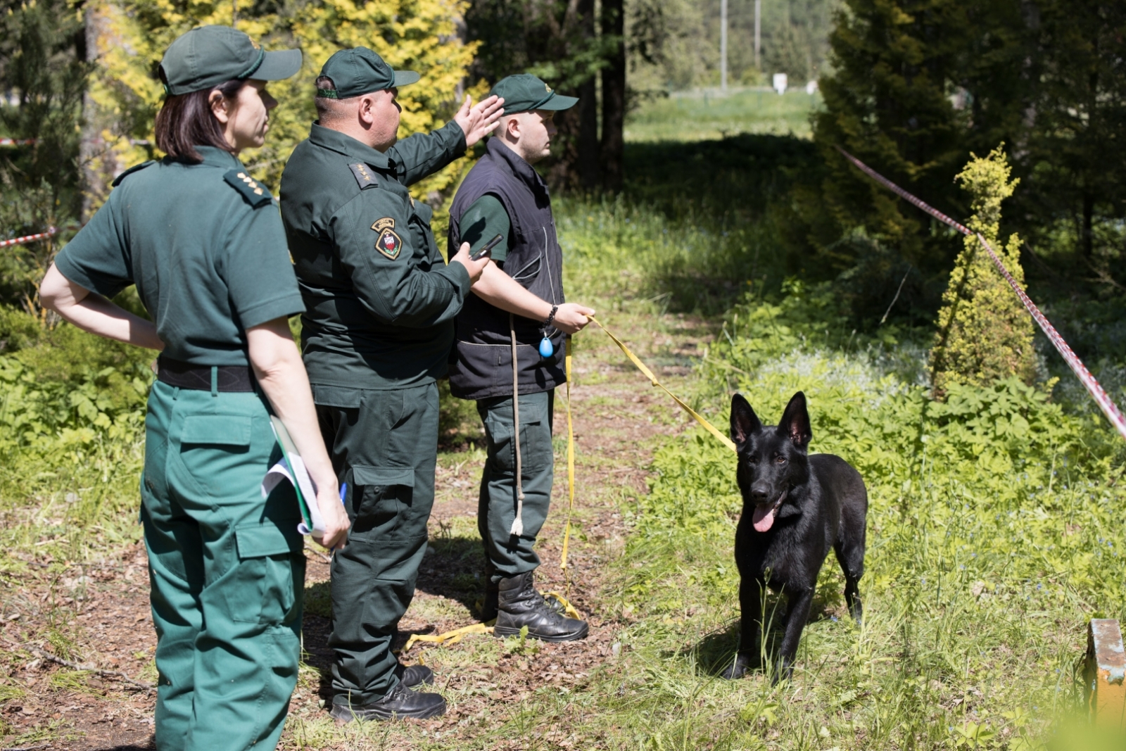 Kinologi un dienesta suņi demonstrē prasmes XXIV Valsts robežsardzes sacensībās Nr.13